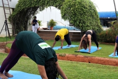 Go Natural Wellness Amenties 4