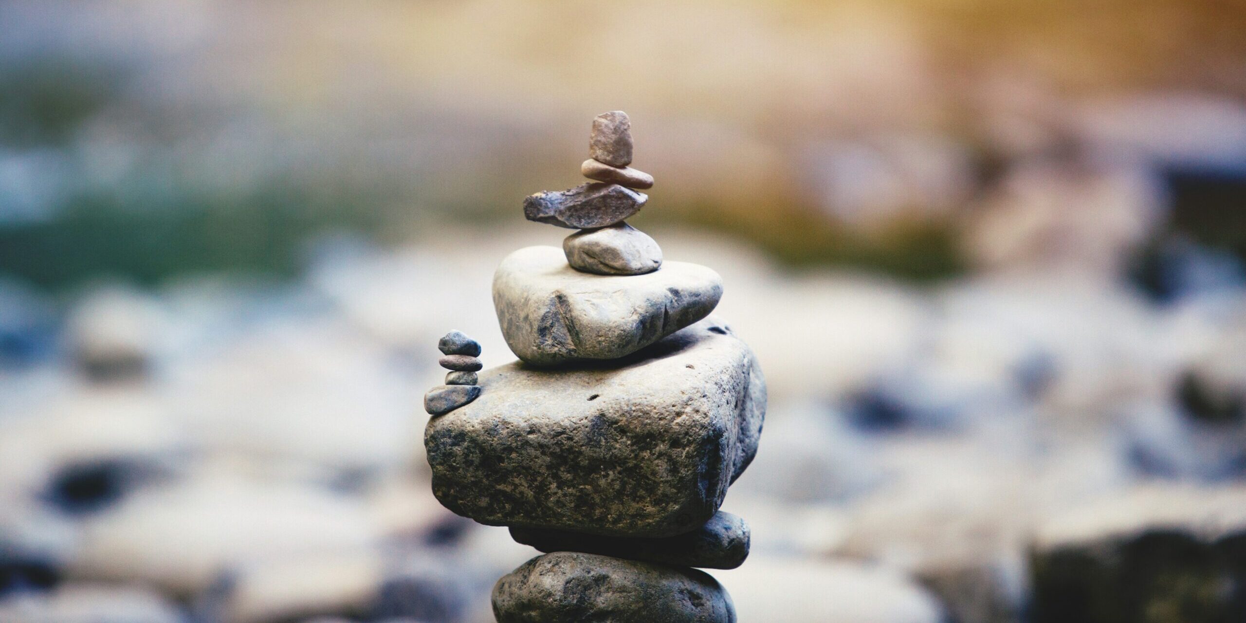 Day Plan Gonatural Weight Mental Clarity And Emotional Wellbeing Unsp Scaled E1750504889658